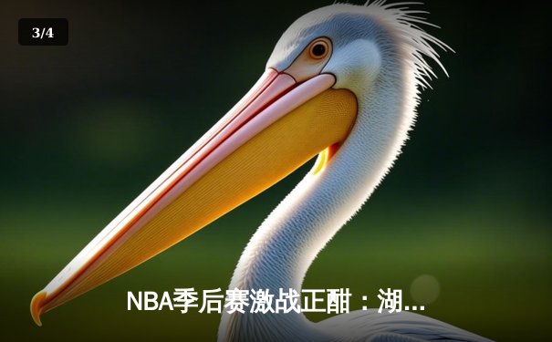 NBA季后赛激战正酣：湖人逆转掘金，詹姆斯关键三分锁定胜局 - 3